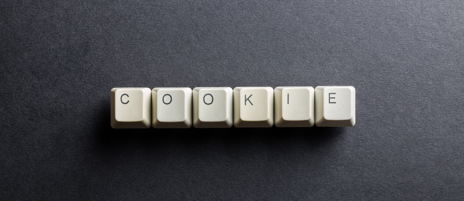 Website Cookie Policy For  Soma Park Inn