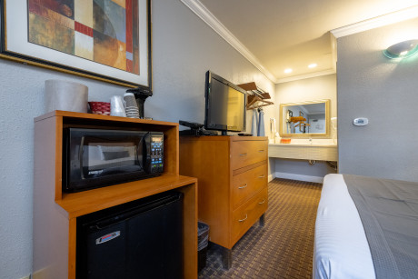 SOMA Park Inn - Civic Center - Queen Guestroom with Mini-Fridge