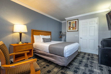 SOMA Park Inn - Civic Center - Queen Guest Room With Lamp 